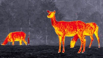 цветовая палитра