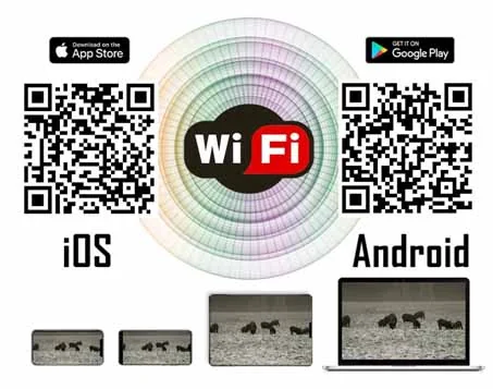 tut-4-12-2021-11.jpg tut-4-12-2021-11.jpg