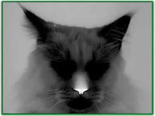 tut-4-12-2021-5.jpg tut-4-12-2021-5.jpg