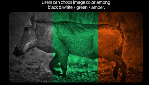 Новые приборы от Аркон Новые приборы от Аркон