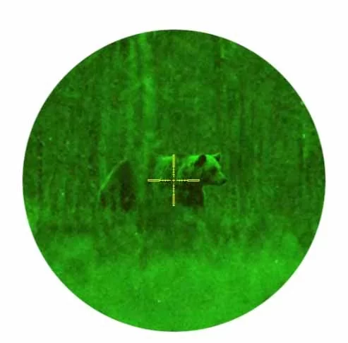 tut-26-01-22-12.jpg tut-26-01-22-12.jpg