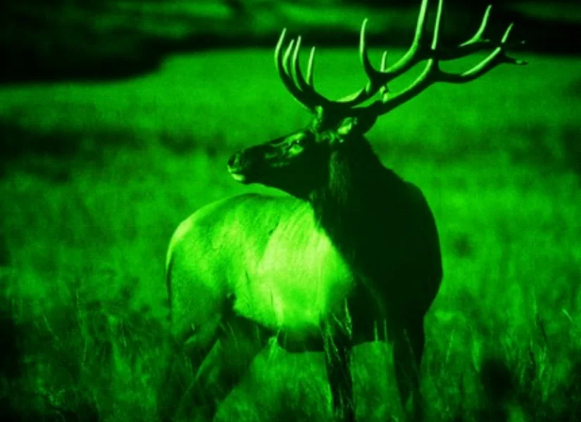 tut-10.jpg tut-10.jpg