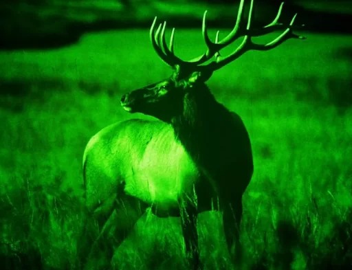 Arkon NVD купить