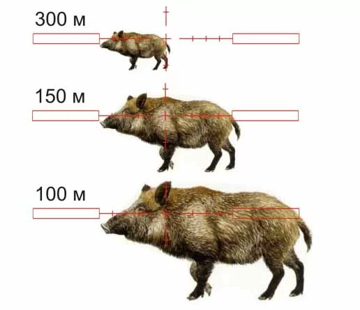 tut-26-01-22-13.jpg tut-26-01-22-13.jpg