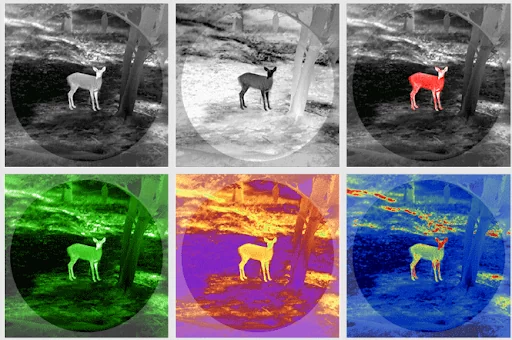 Цветовые палитры