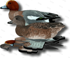Комплект чучел свиязь NRA FUD European Wigeon (Свиязь)